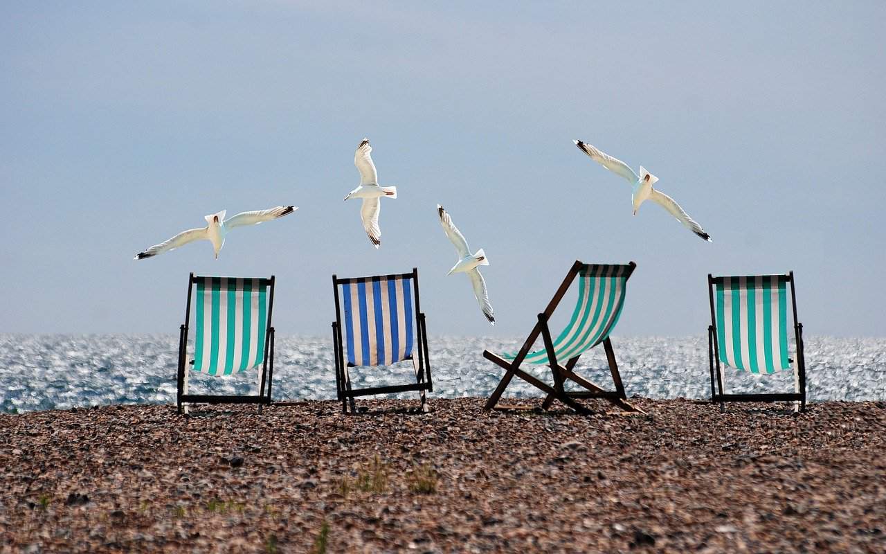seagulls flying over deckchairs on the beach